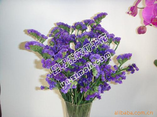 花绽眼前，画藏云园 昆明斗南花卉与木质挂画的艺术碰撞