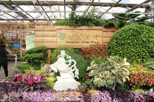 北京世界花卉大观园·精品花卉馆 四季绽放的奇幻花境